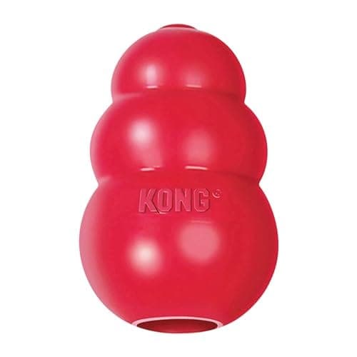 KONG Classic Jouet à Mâcher Remplissable pour Chiens, Grande Taille